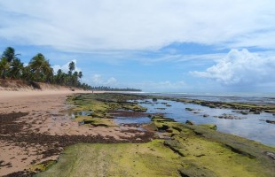 praia-do-forte